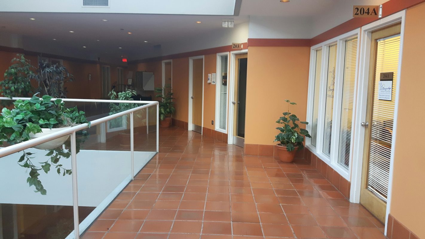 The bright, plant-lined atrium hallway outside the Hamilton office